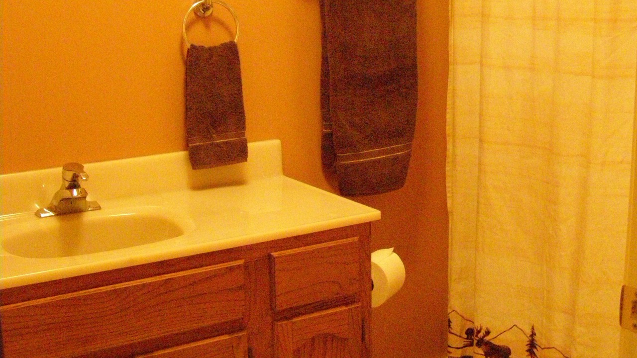 Photo of Bathroom in Saluda