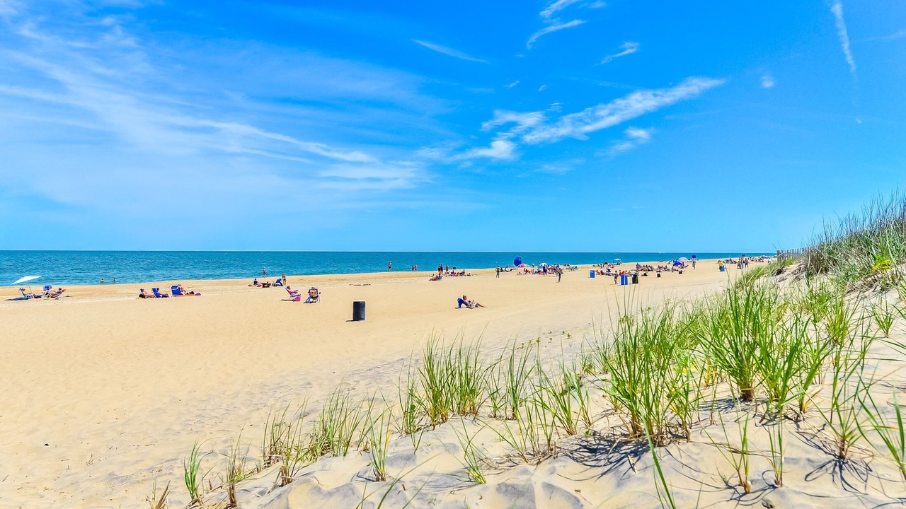 Photo of Others in Midtown Ocean City