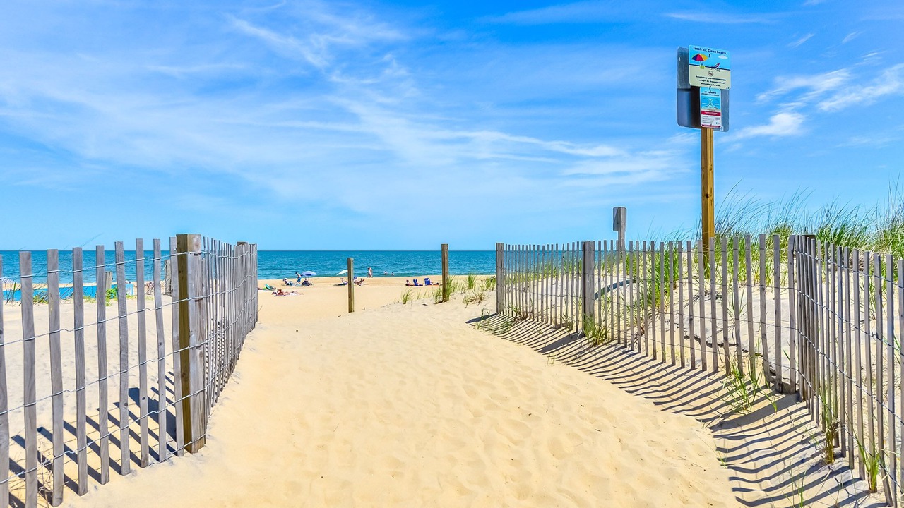 Photo of Others in Midtown Ocean City