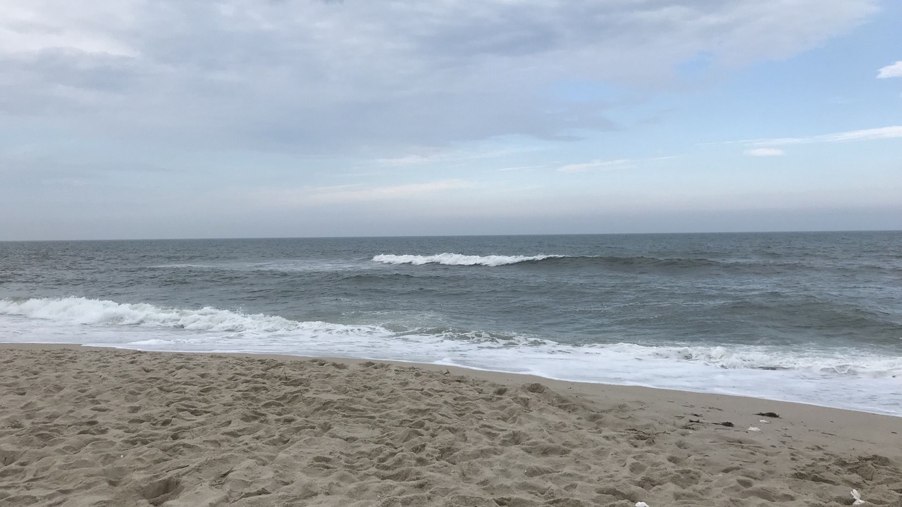 Photo of Others in Ortley Beach