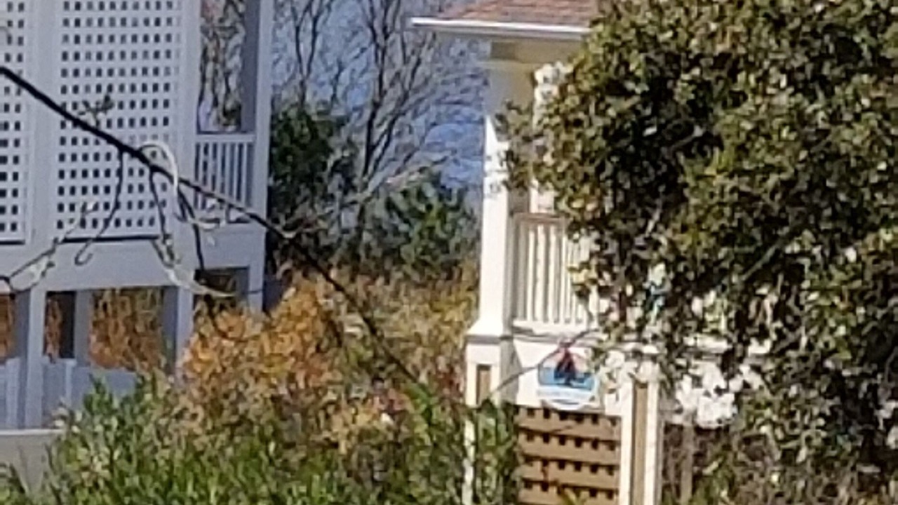 Photo of Others in Monteray Shores