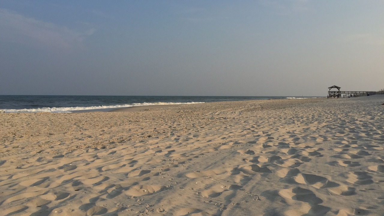 Photo of Others in Beach Haven
