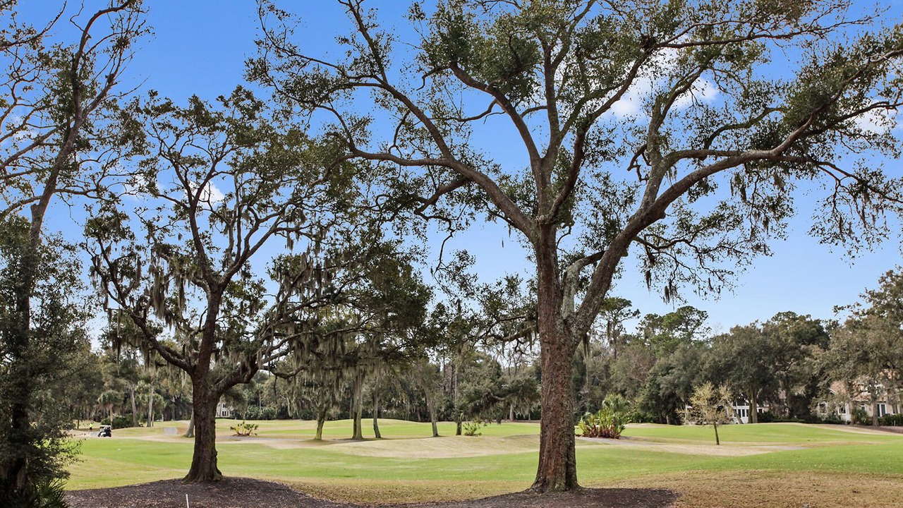 Photo of Others in Palmetto Dunes