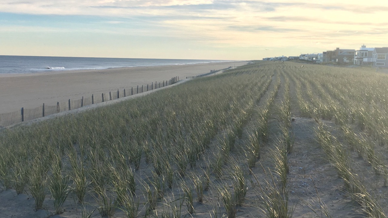 Photo of Others in The Dunes