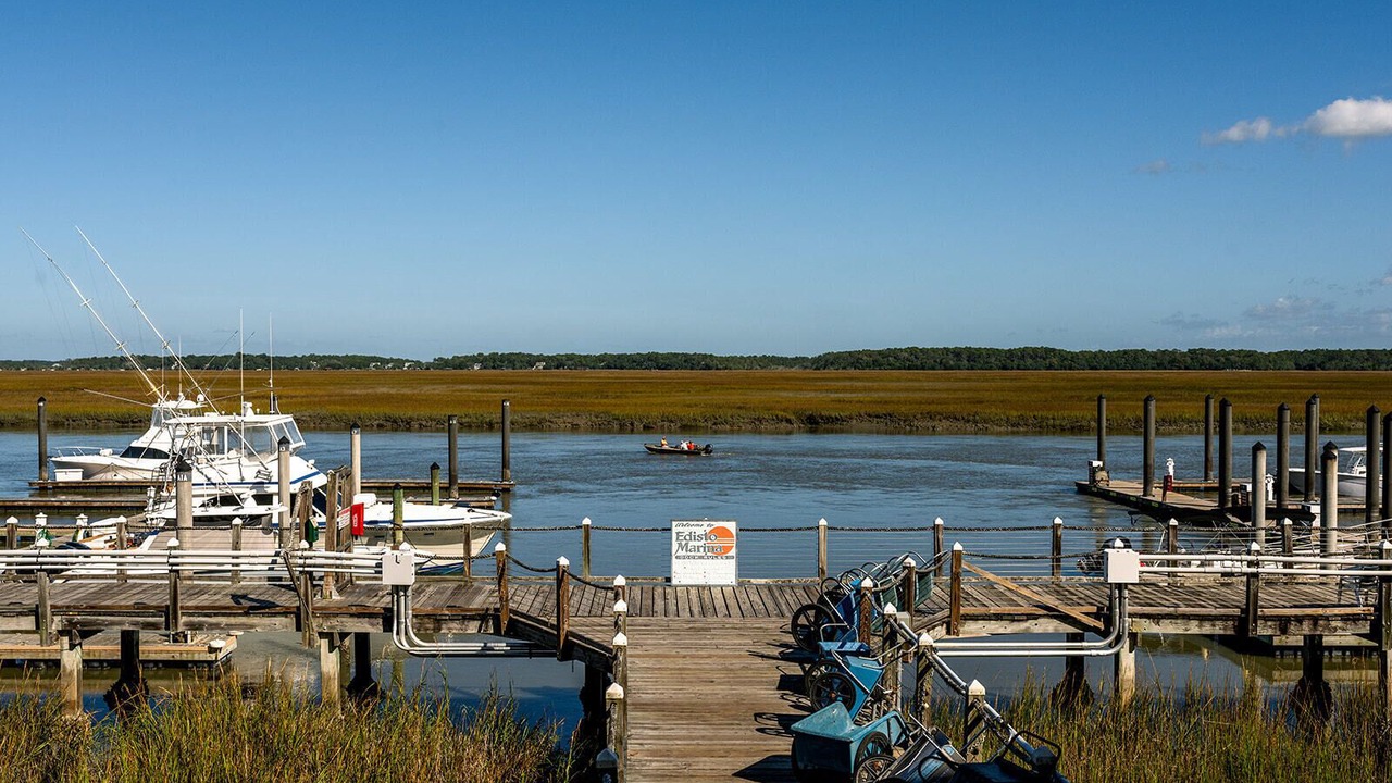 Photo of Others in Edisto Island