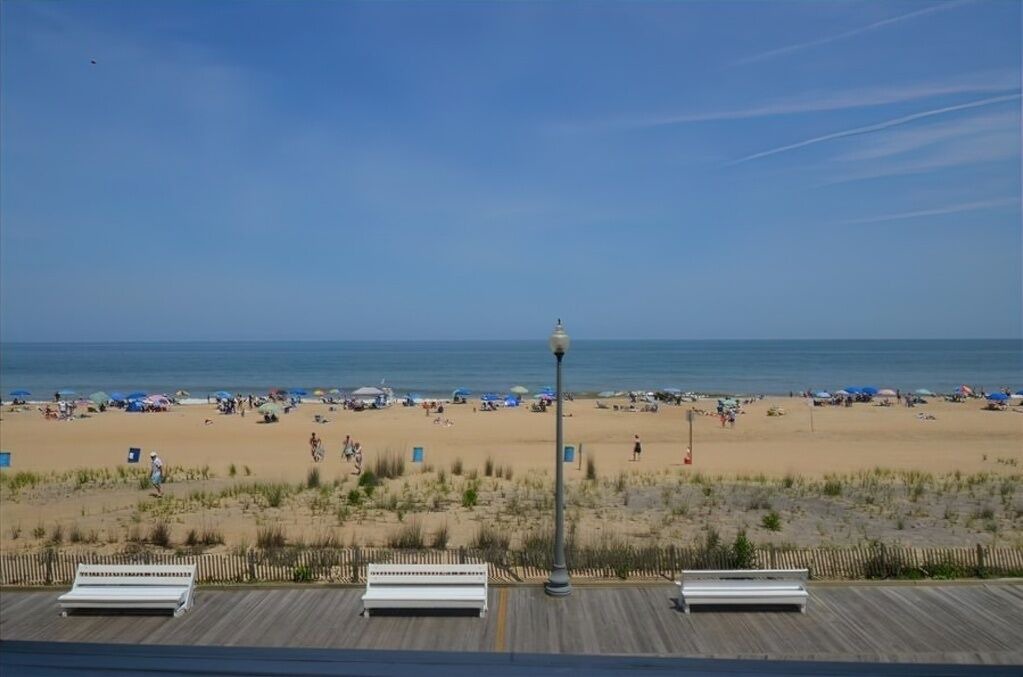Photo of Others in South Rehoboth