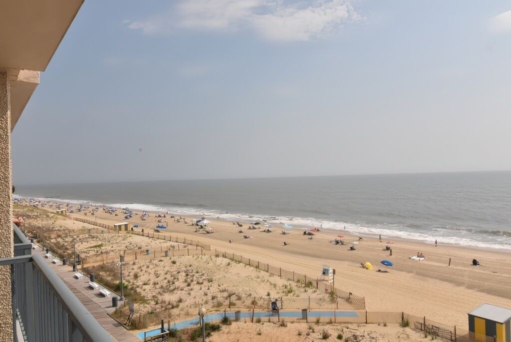 Photo of Others in South Rehoboth