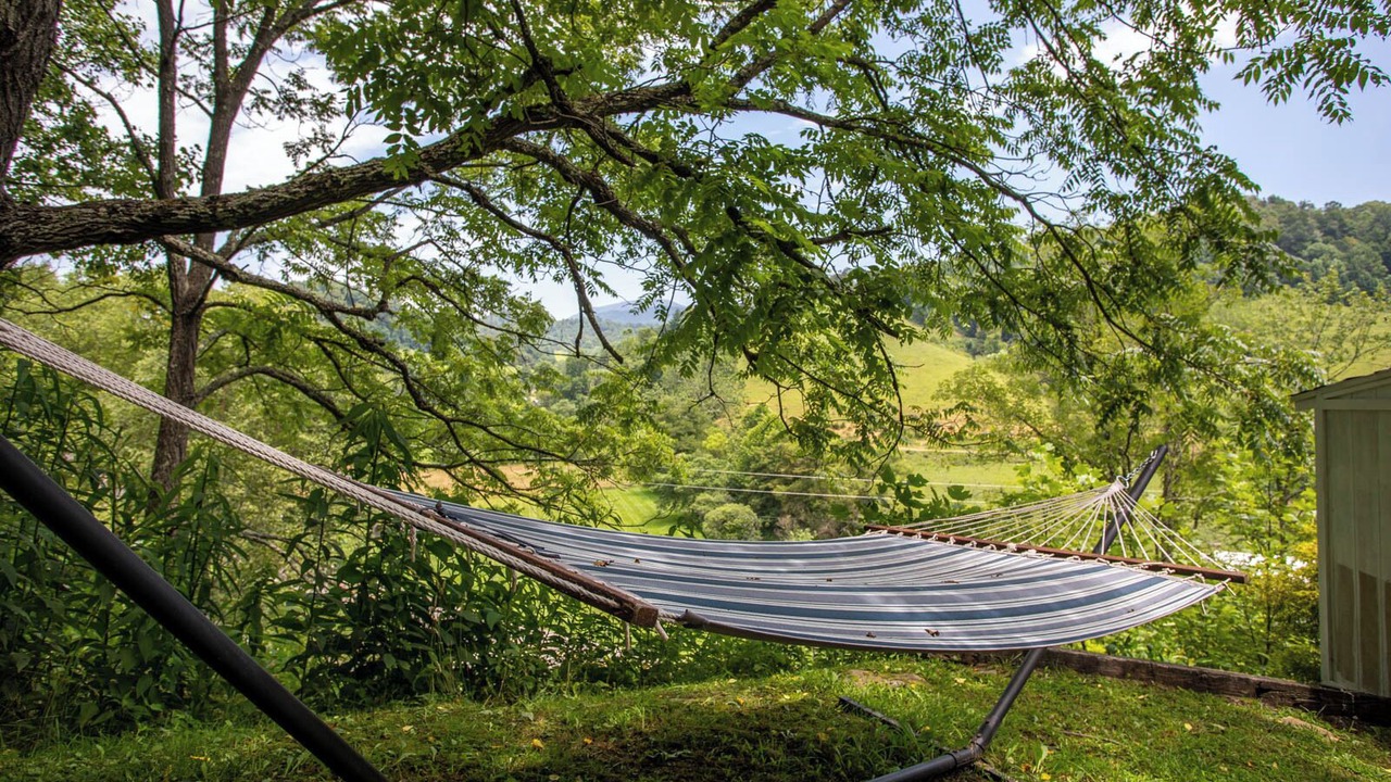 Photo of Outdoor in Vilas