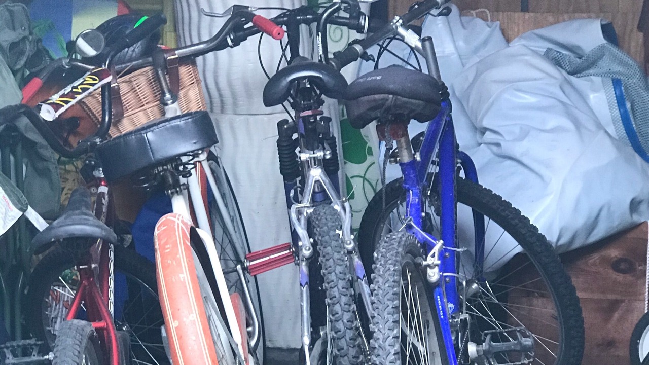 Photo of Others in Clear Lake
