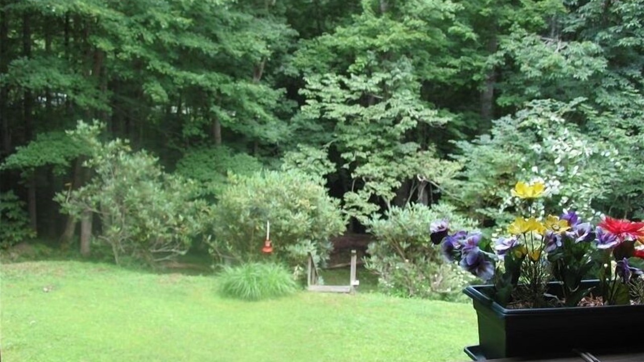 Photo of Others in Sugar Grove