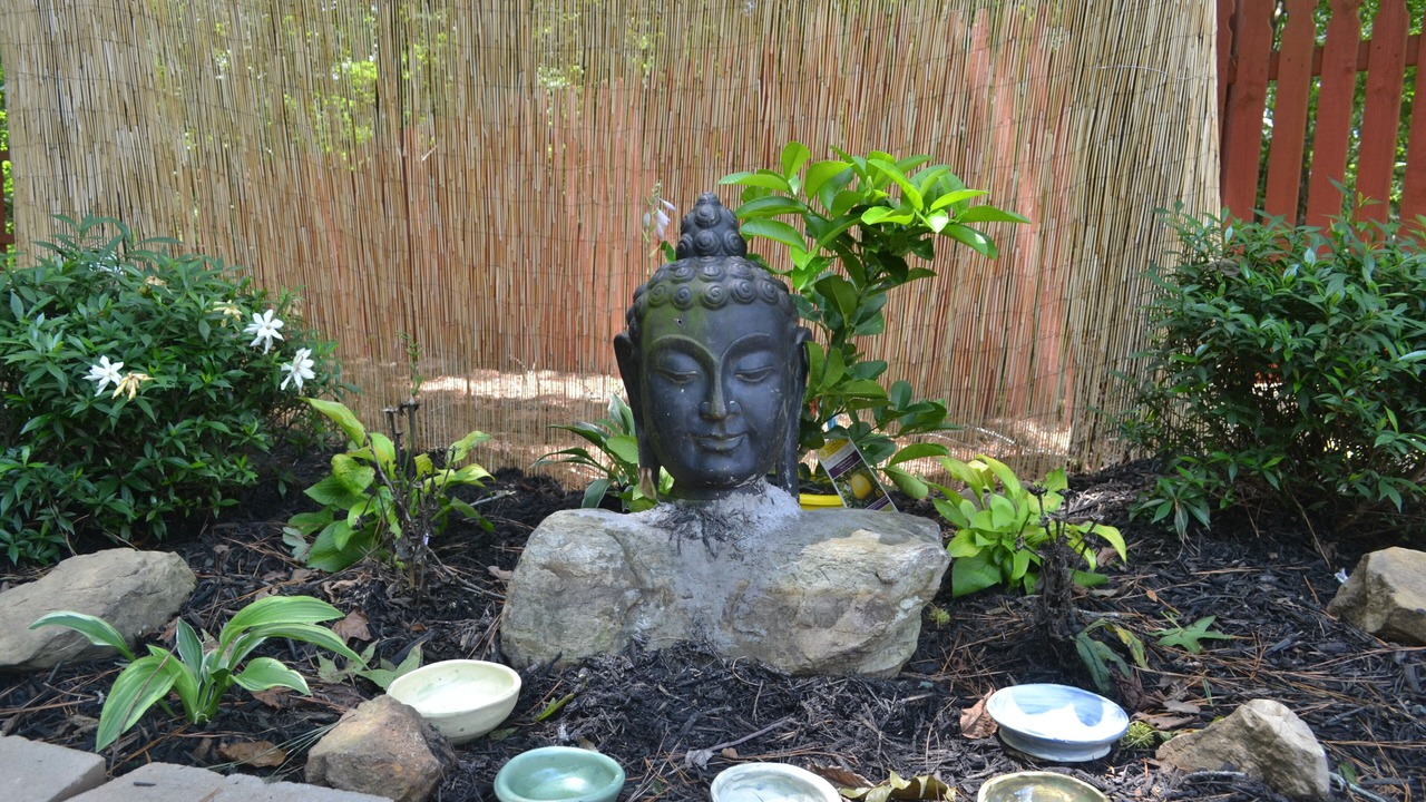 Photo of Outdoor in Chapel Hill