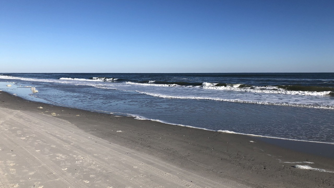 Photo of Others in Brigantine