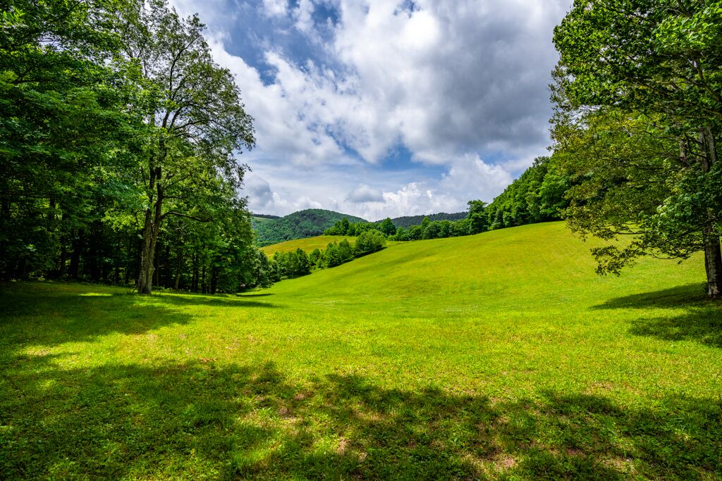 Photo of Others in Boone