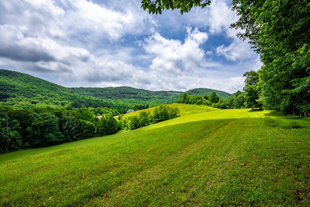 Photo of Others in Boone