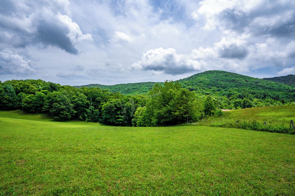 Photo of Others in Boone
