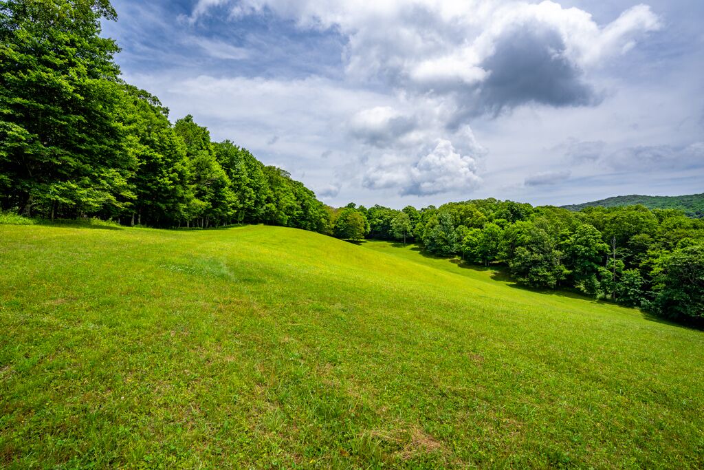 Photo of Others in Boone