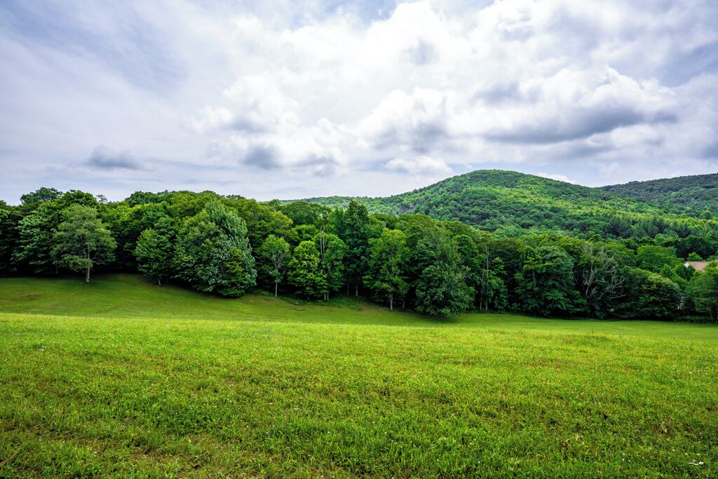 Photo of Others in Boone