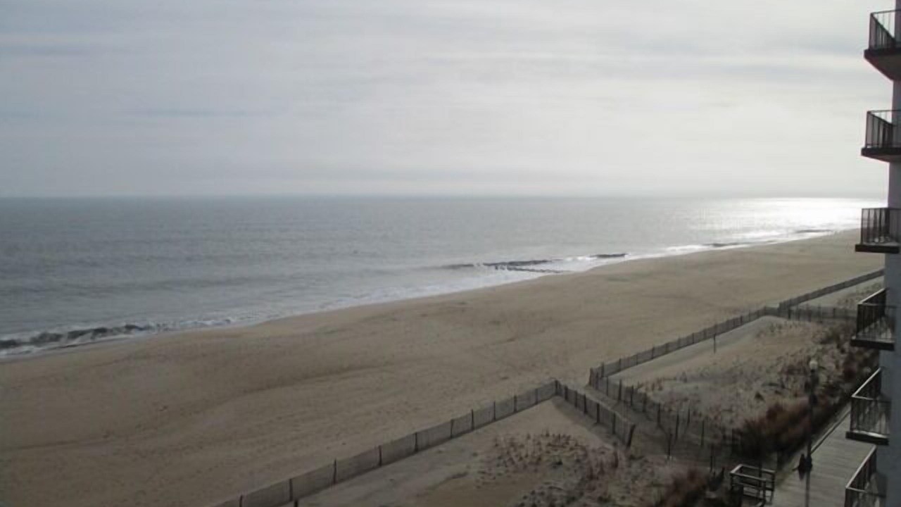 Photo of Others in Rehoboth Beach