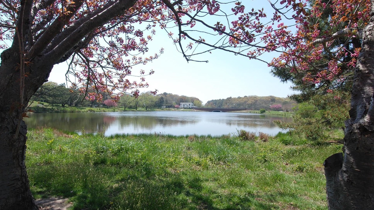 Photo of Outdoor in Rehoboth Beach