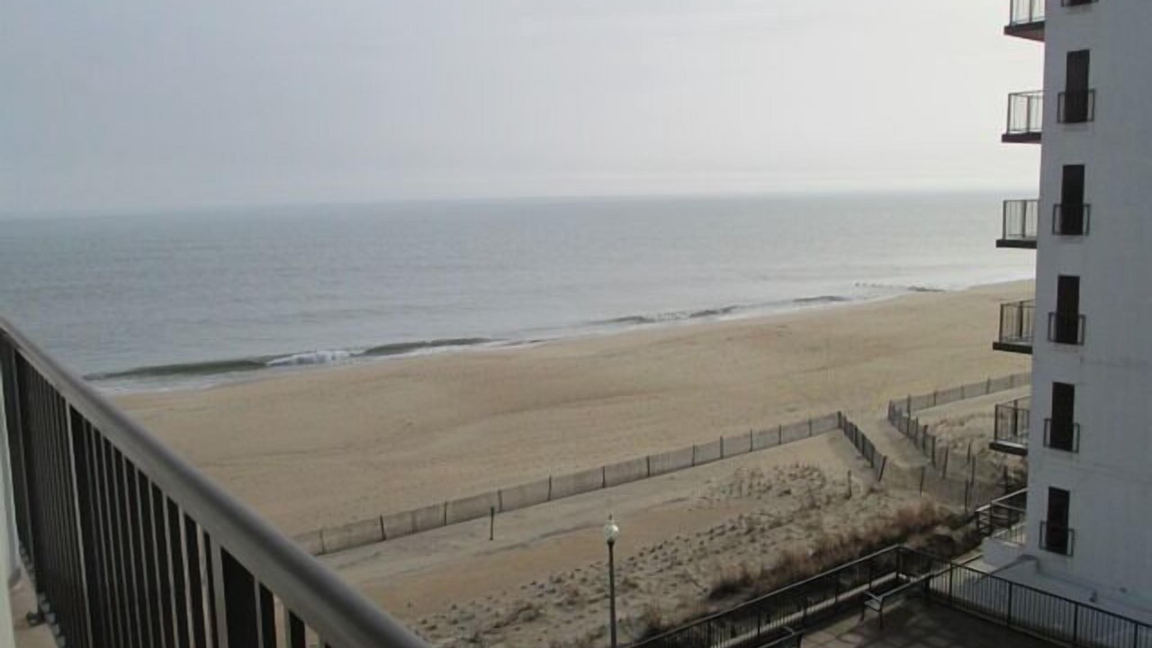 Photo of Others in Rehoboth Beach