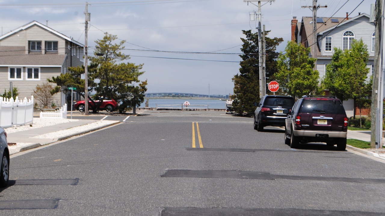 Photo of Others in Avalon
