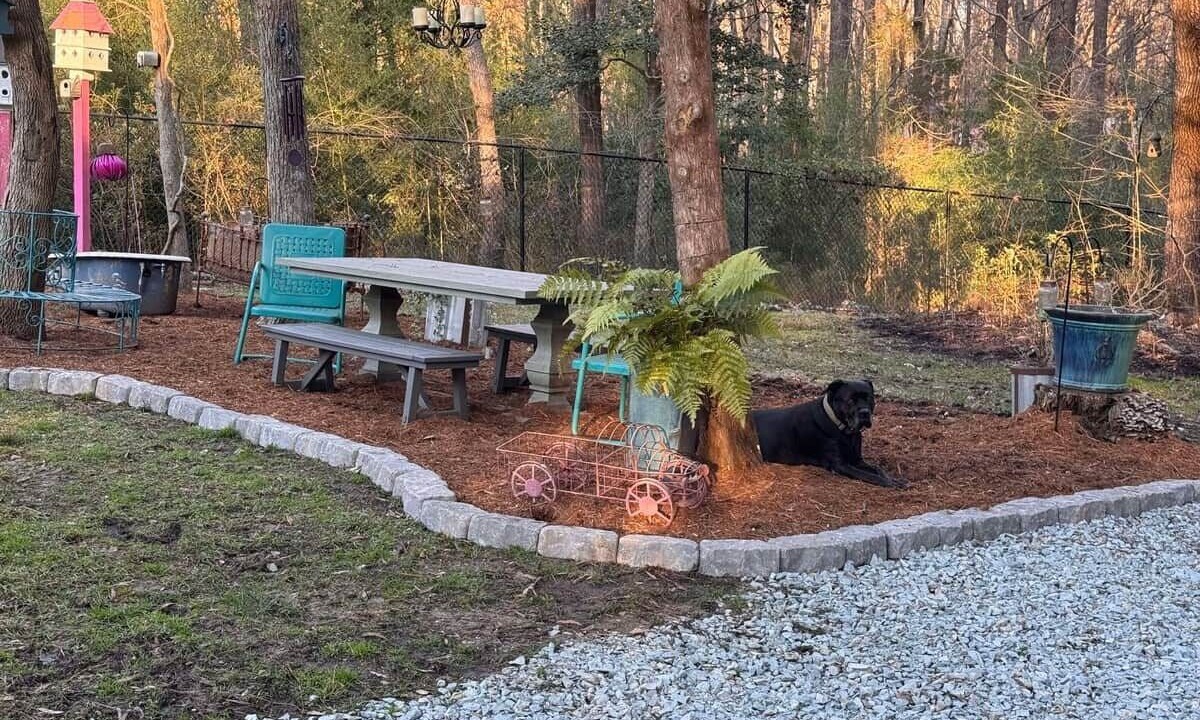 Photo of Outdoor in Wake Forest