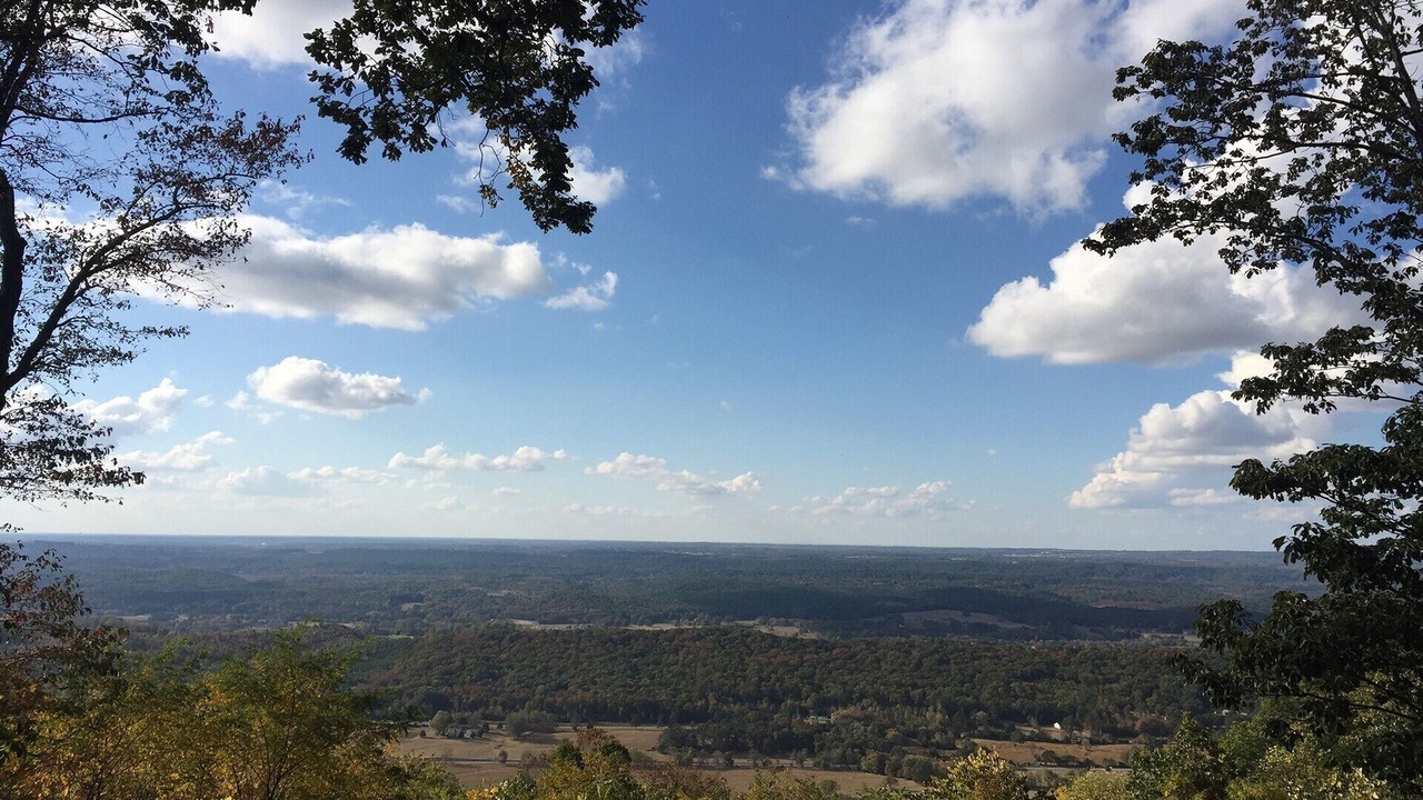 Photo of Others in Mentone