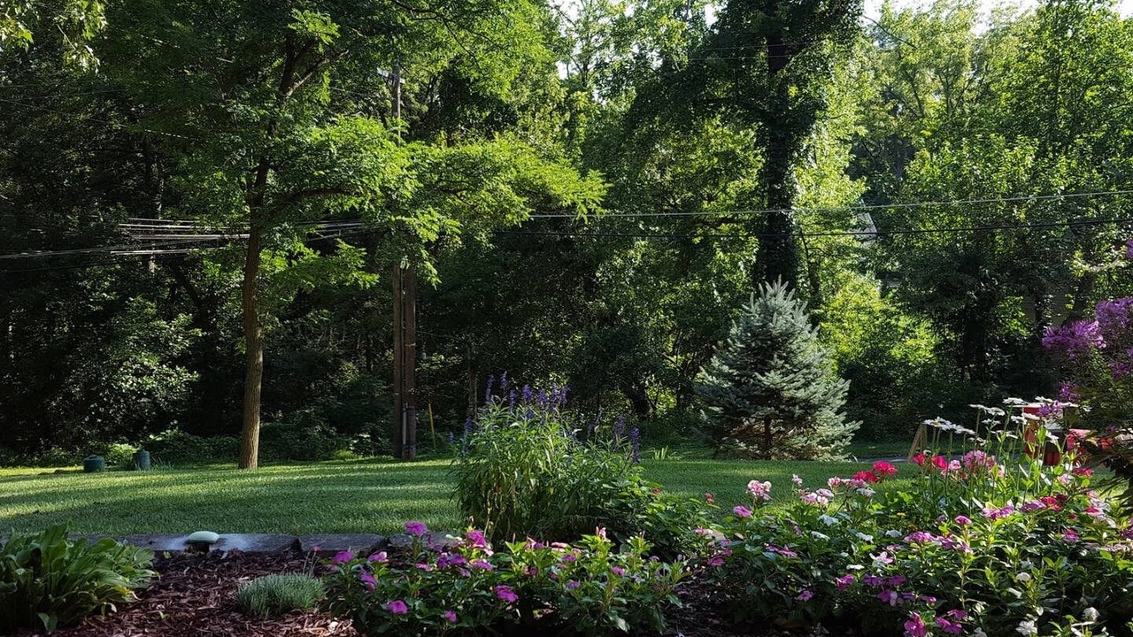 Photo of Outdoor in Sykesville