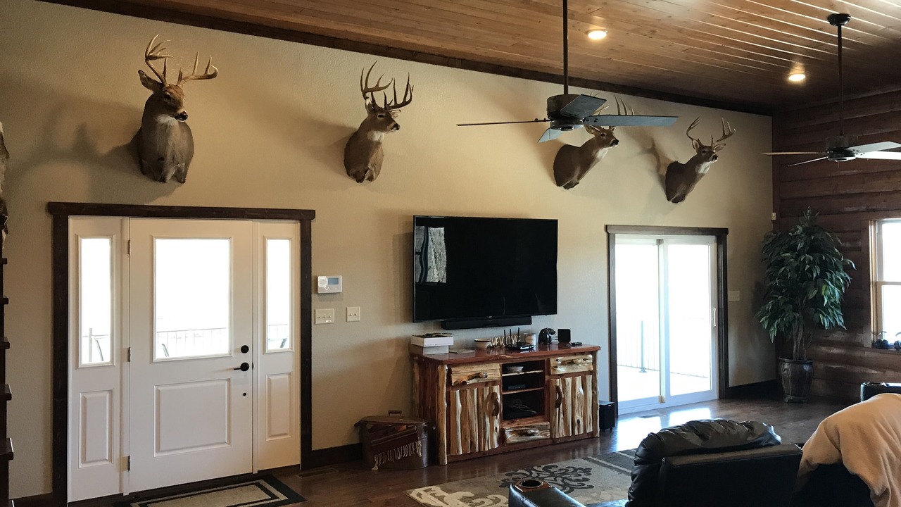 Photo of Livingroom in New Cambria