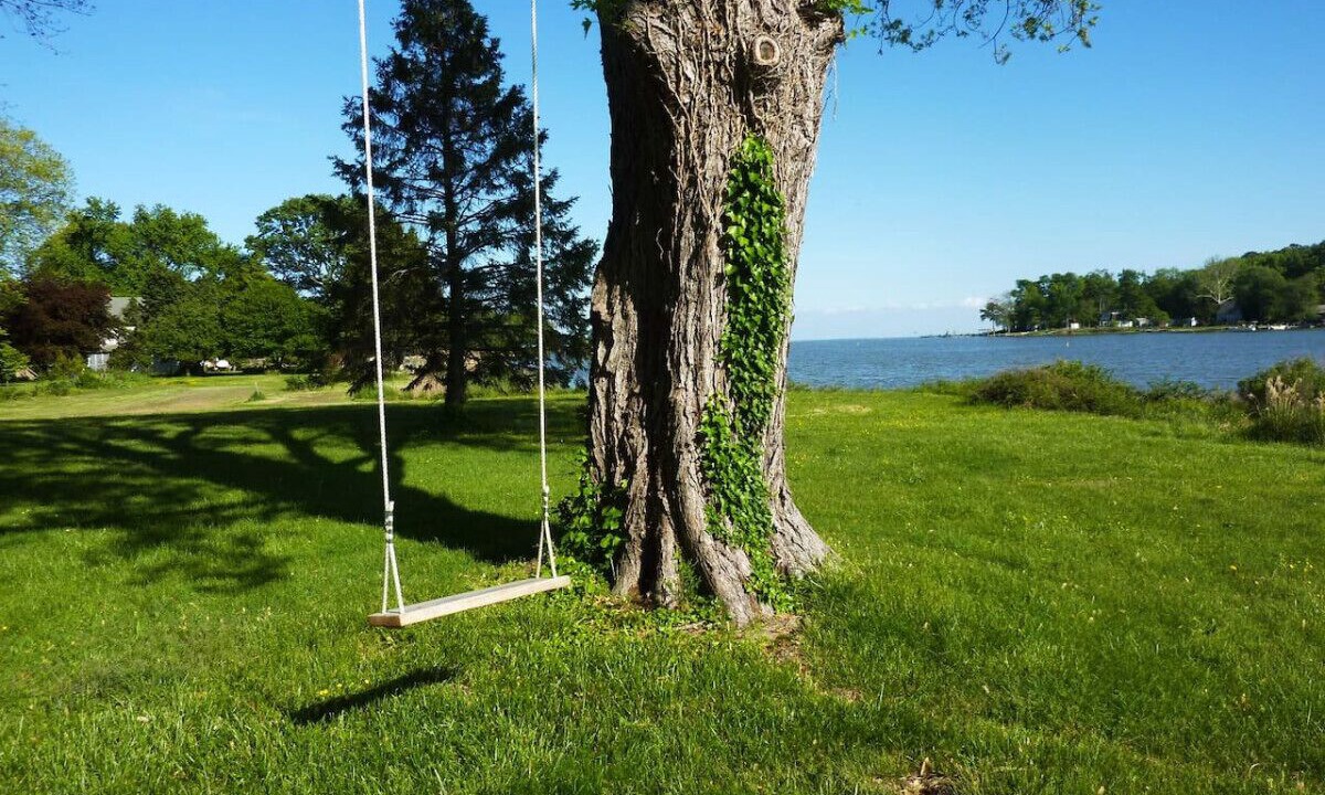 Photo of Outdoor in Cape Anne