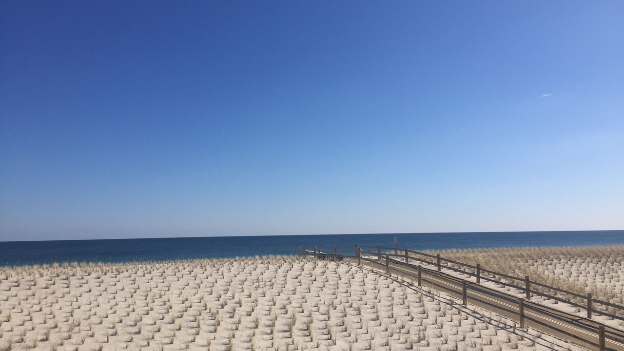 Photo of Others in Ocean Beach III