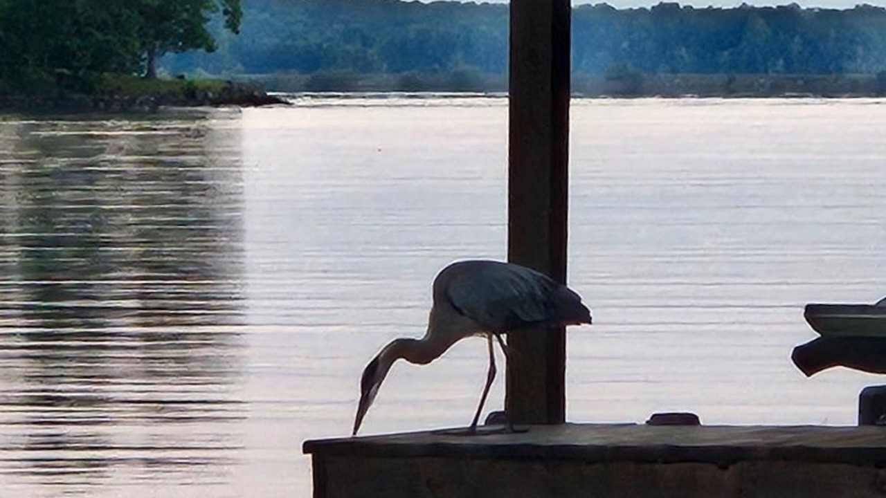 Photo of Others in Bumpass