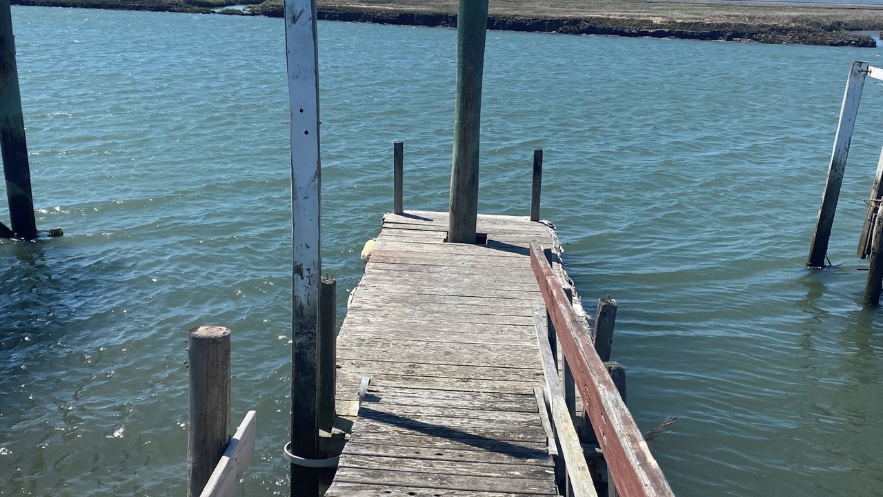Photo of Others in Anglesea
