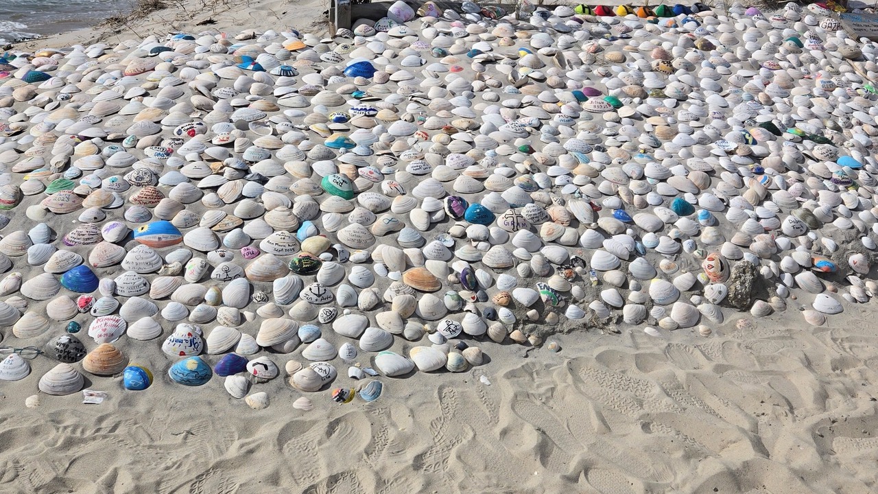 Photo of Others in North Beach Haven