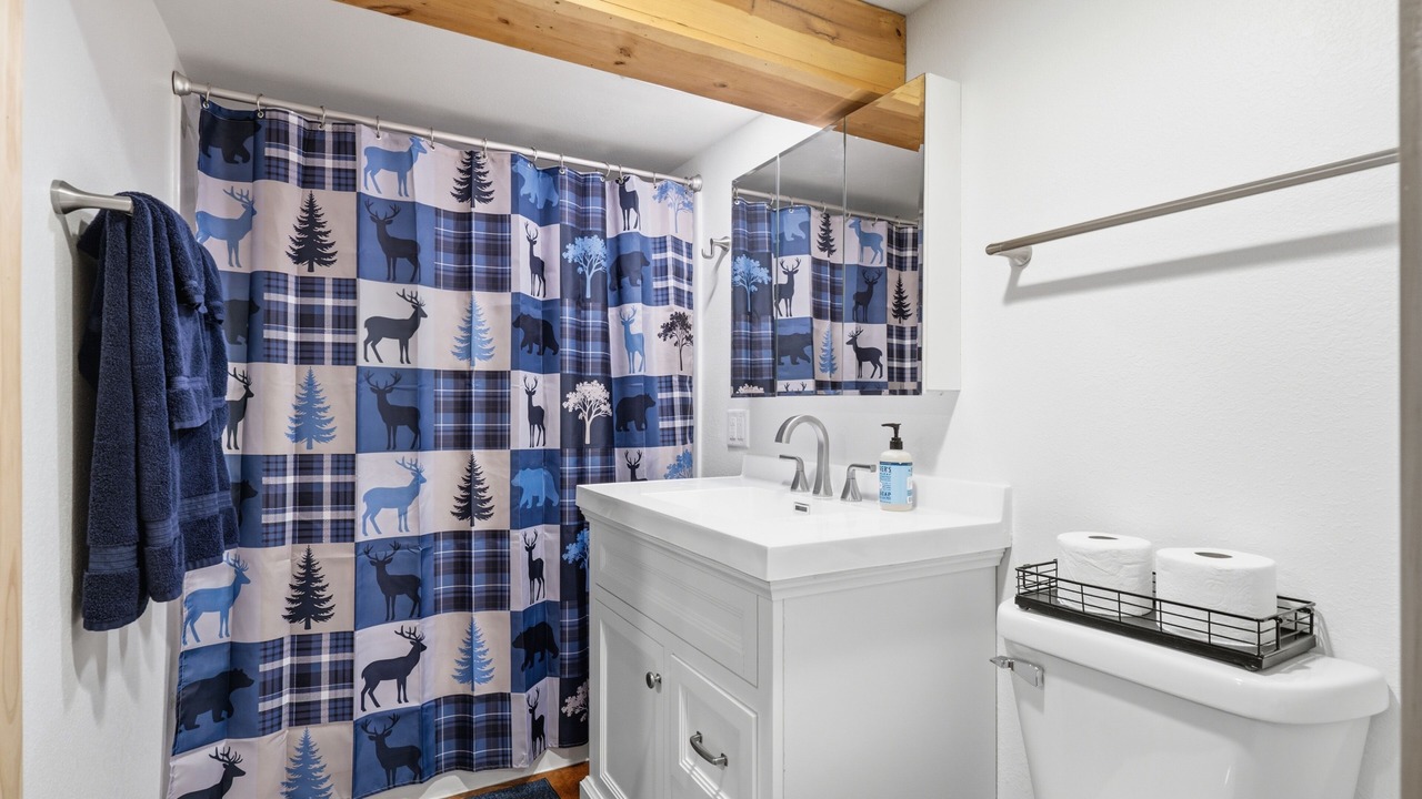 Photo of Bathroom in Cedar Falls