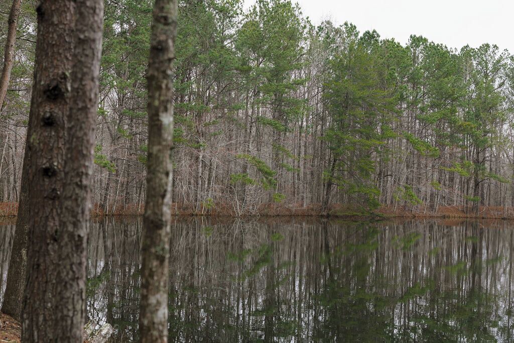 Photo of Others in Mentone
