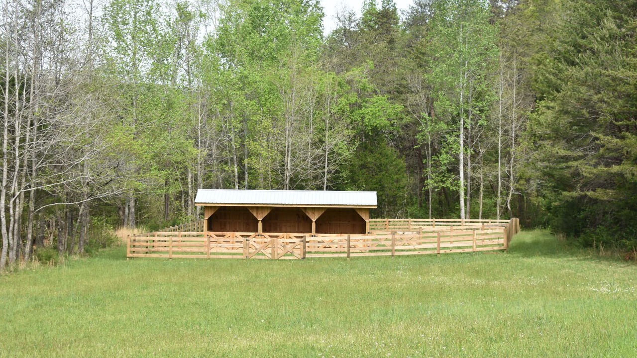 Photo of Outdoor in Chickamauga