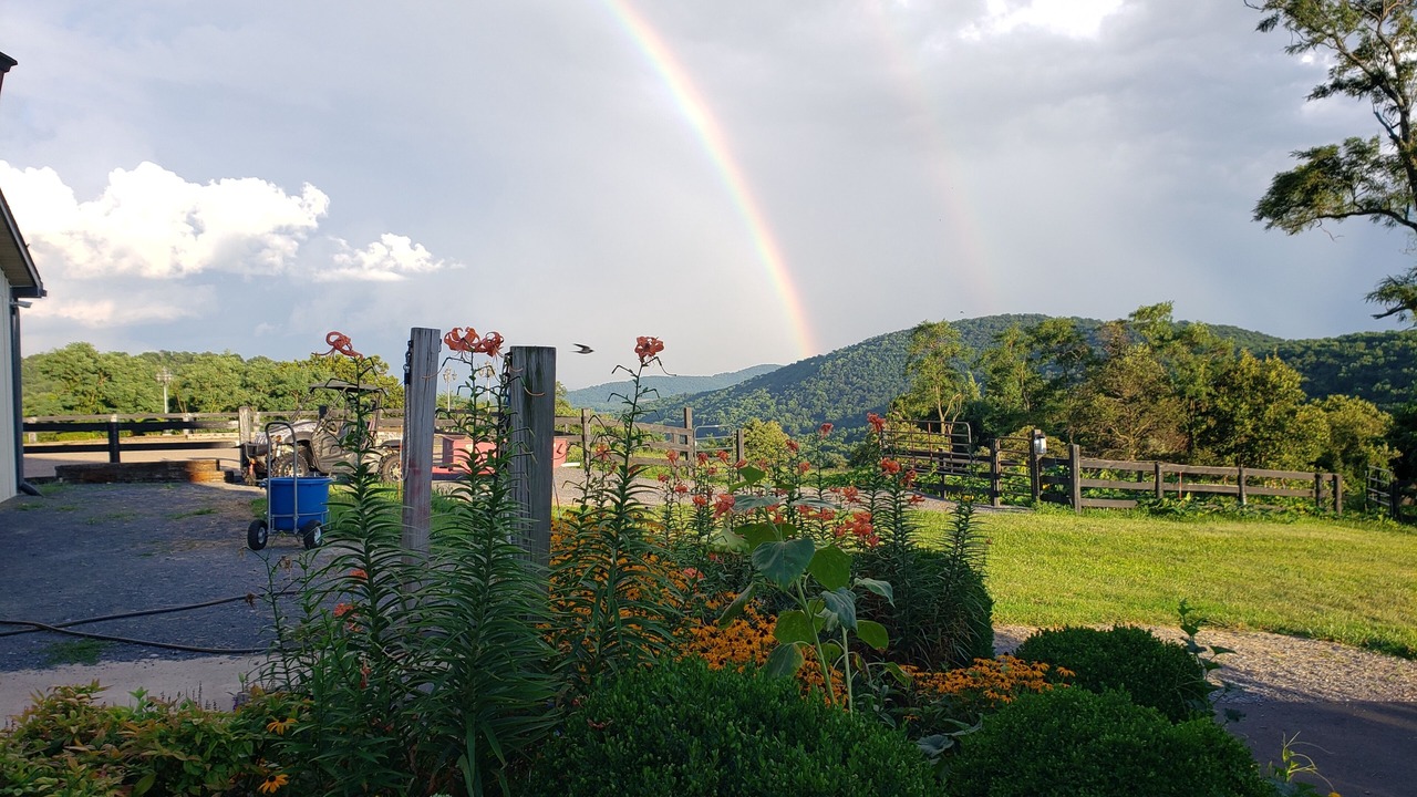 Photo of Outdoor in Rippon