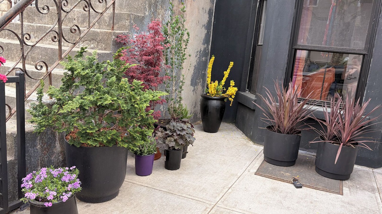 Photo of Outdoor in Bushwick