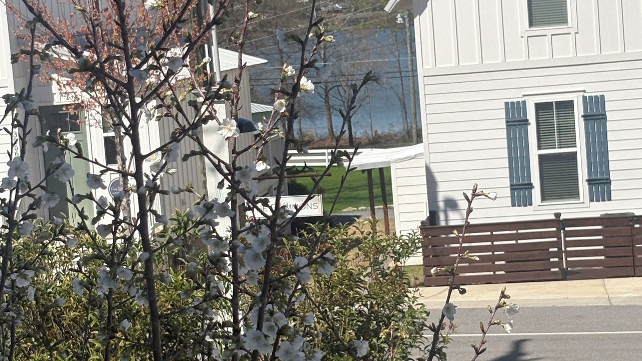 Photo of Outdoor in Guntersville