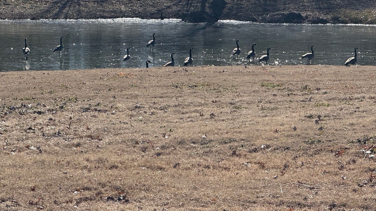 Photo of Others in Winfield