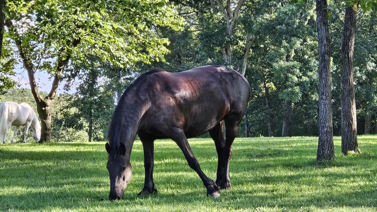 Photo of Others in Millville