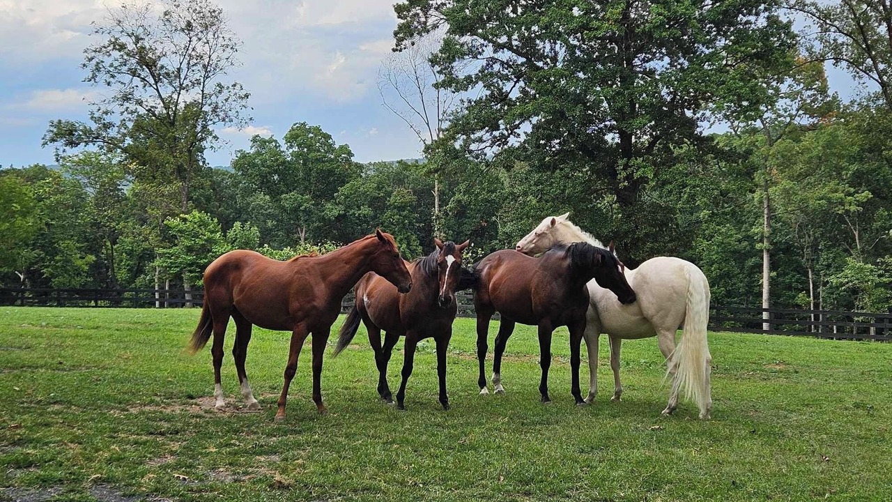 Photo of Others in Millville