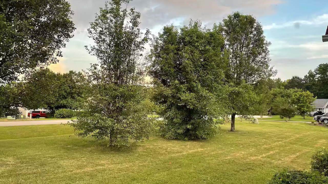 Photo of Outdoor in Youngsville