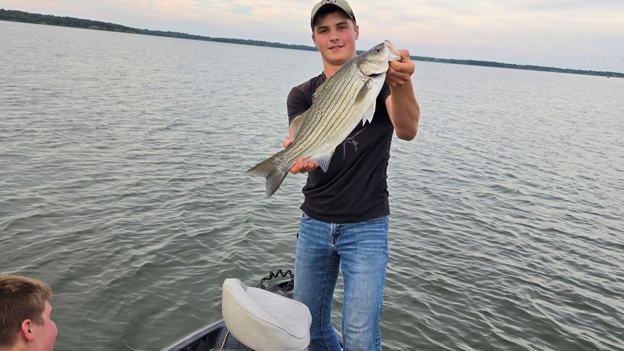 Photo of Others in Wayne County