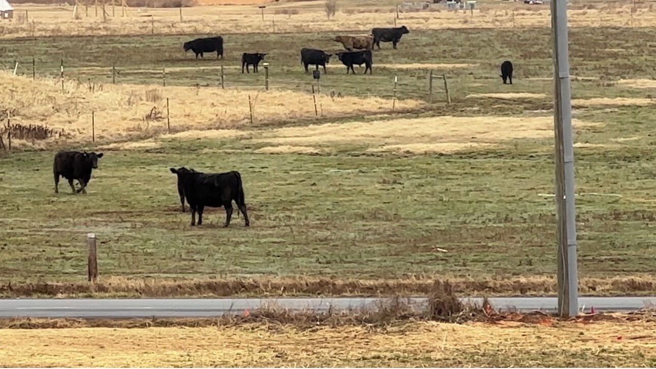 Photo of Others in Brentsville