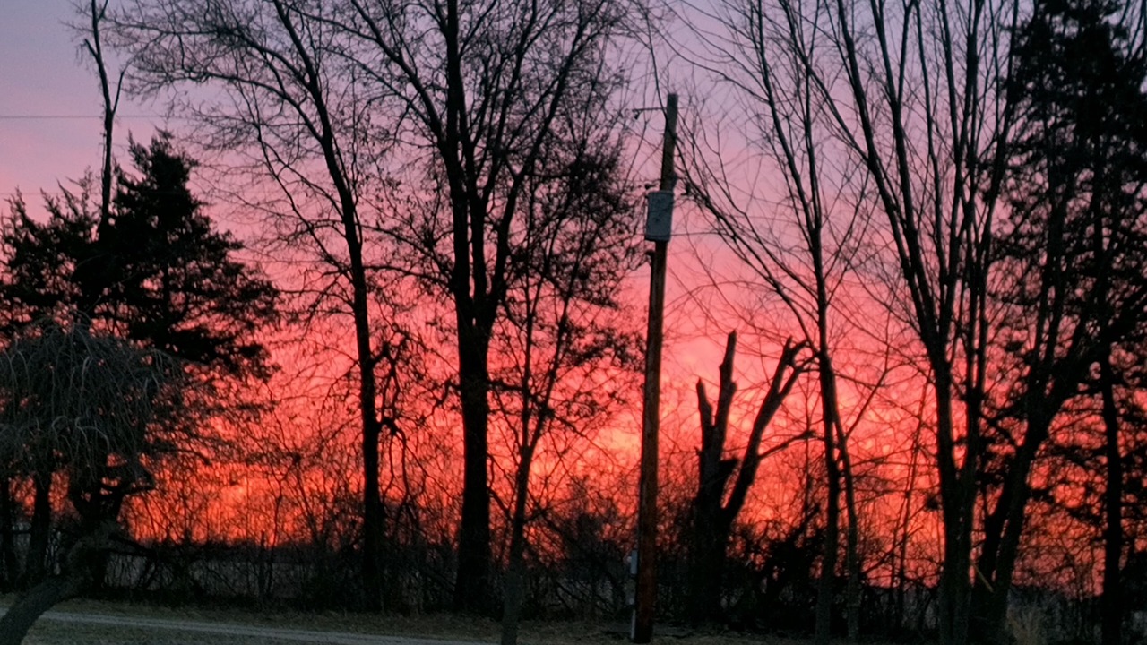 Photo of Others in Orange Prairie