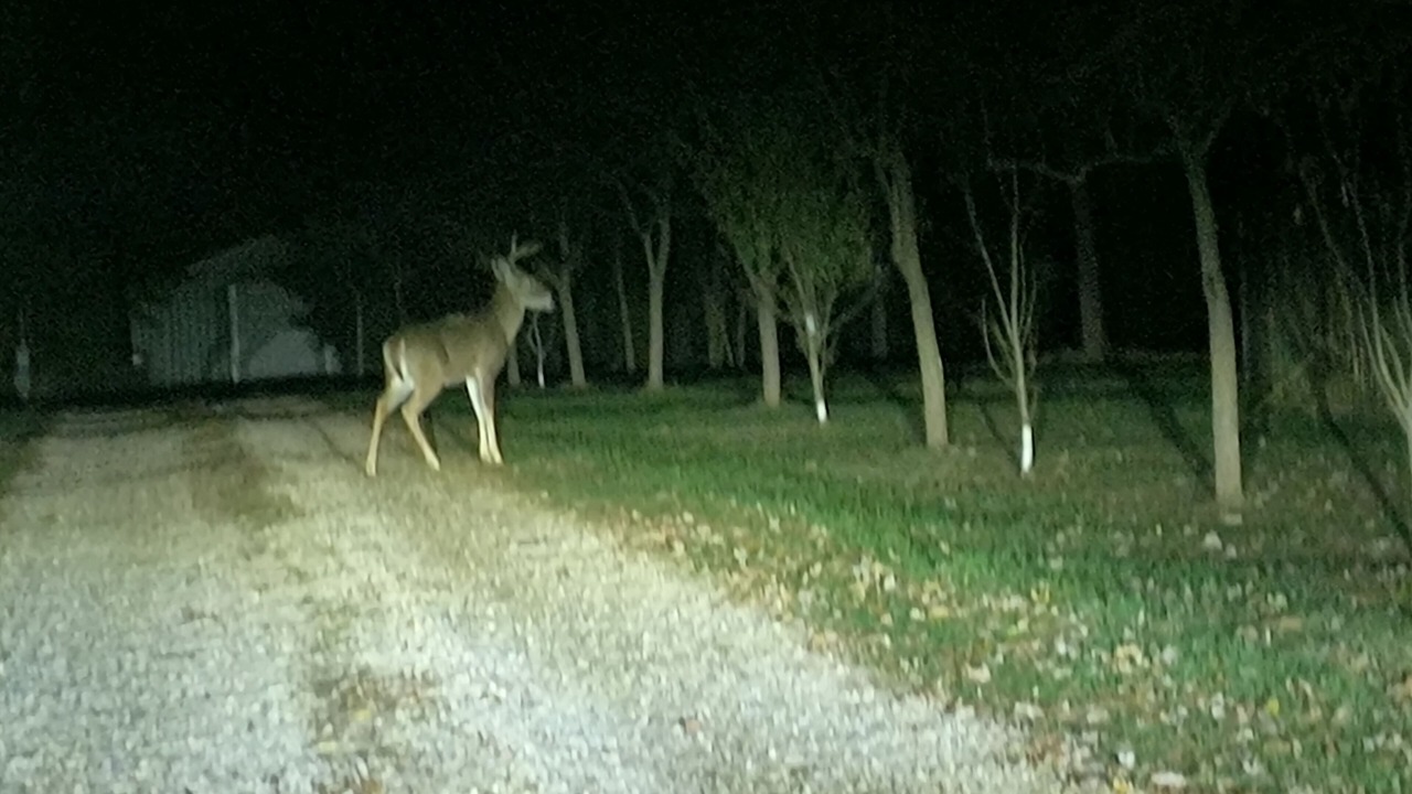 Photo of Others in Orange Prairie