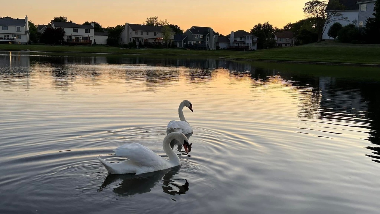 Photo of Others in Bloomington