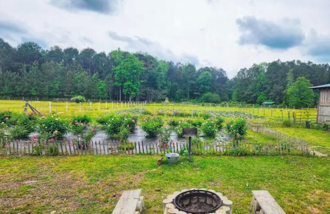 Photo of Outdoor in Willard